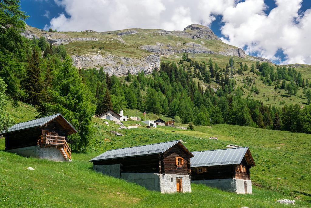 Le Mayen De Colombire Crans-Montana Zewnętrze zdjęcie
