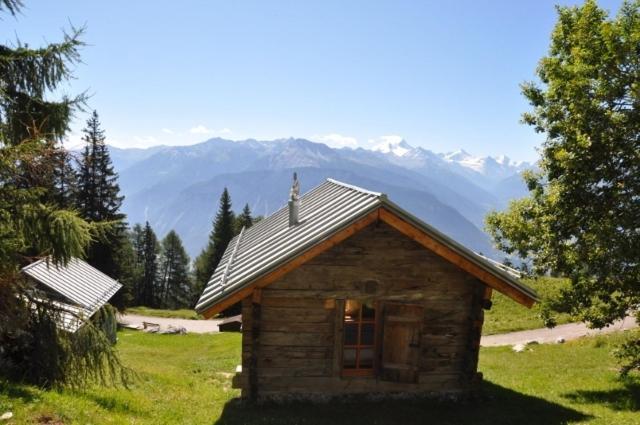 Le Mayen De Colombire Crans-Montana Zewnętrze zdjęcie